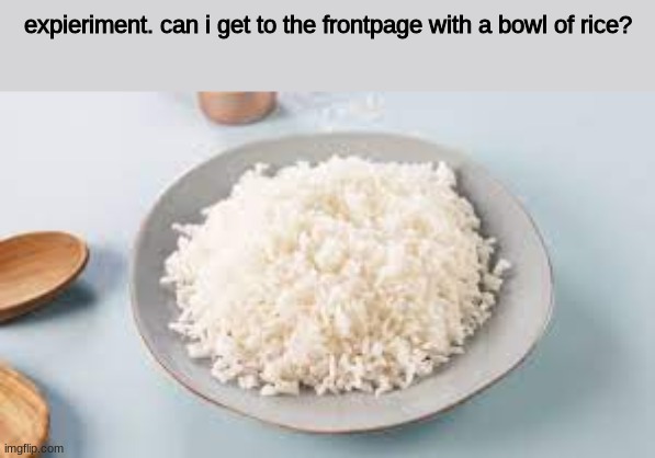 ._. | expieriment. can i get to the frontpage with a bowl of rice? | image tagged in i exist | made w/ Imgflip meme maker