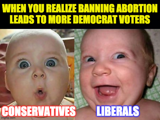 Math is their Achilles heel.  And reading, and logic, etc. | WHEN YOU REALIZE BANNING ABORTION
LEADS TO MORE DEMOCRAT VOTERS; CONSERVATIVES; LIBERALS | image tagged in memes,abortion,strategy | made w/ Imgflip meme maker