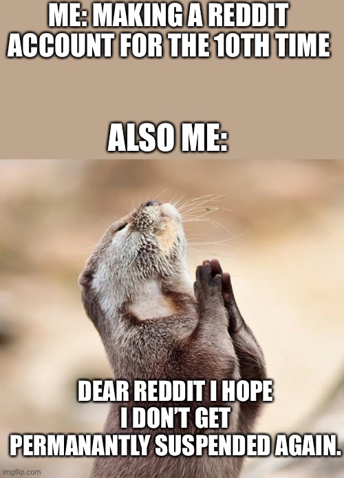 animal praying | ME: MAKING A REDDIT ACCOUNT FOR THE 10TH TIME; ALSO ME:; DEAR REDDIT I HOPE I DON’T GET PERMANANTLY SUSPENDED AGAIN. | image tagged in animal praying | made w/ Imgflip meme maker