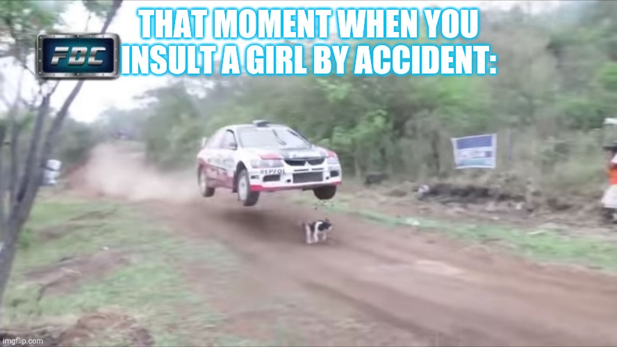 Race car fly over dog | THAT MOMENT WHEN YOU INSULT A GIRL BY ACCIDENT: | image tagged in race car fly over dog | made w/ Imgflip meme maker