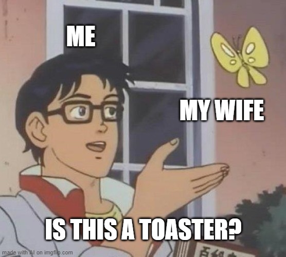 AI toasting relationships [random AI generated meme] | ME; MY WIFE; IS THIS A TOASTER? | image tagged in memes,is this a pigeon,toast,bread,relationships,ai meme | made w/ Imgflip meme maker