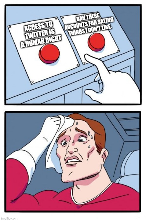 the daily struggle |  BAN THESE ACCOUNTS FOR SAYING THINGS I DON'T LIKE. ACCESS TO TWITTER IS A HUMAN RIGHT | image tagged in the daily struggle | made w/ Imgflip meme maker