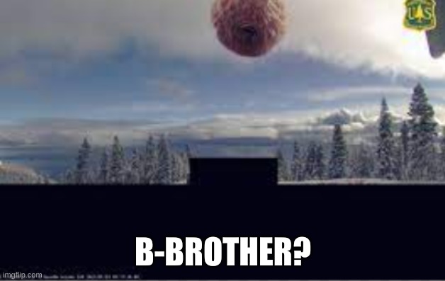 The Meatball | B-BROTHER? | image tagged in the meatball | made w/ Imgflip meme maker