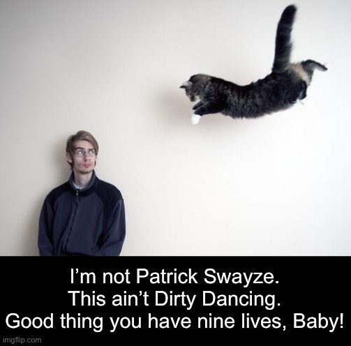 Now I Had the Time of My Li-i-fe... | I’m not Patrick Swayze.
This ain’t Dirty Dancing.
Good thing you have nine lives, Baby! | image tagged in funny memes,funny cat memes | made w/ Imgflip meme maker
