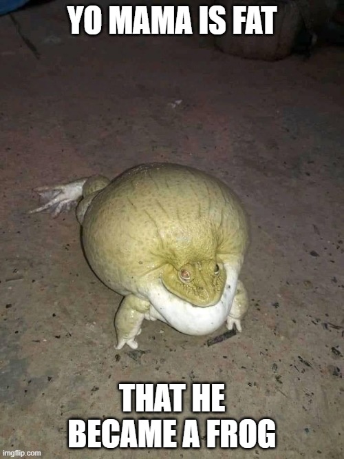 frog fat | YO MAMA IS FAT; THAT HE BECAME A FROG | image tagged in frog | made w/ Imgflip meme maker
