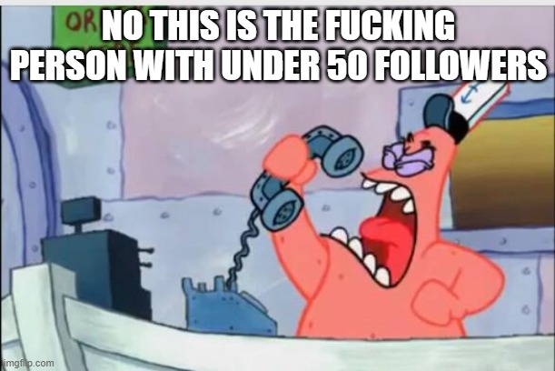 NO THIS IS PATRICK | NO THIS IS THE FUCKING PERSON WITH UNDER 50 FOLLOWERS | image tagged in no this is patrick | made w/ Imgflip meme maker
