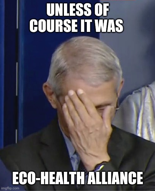 Dr Fauci | UNLESS OF COURSE IT WAS ECO-HEALTH ALLIANCE | image tagged in dr fauci | made w/ Imgflip meme maker