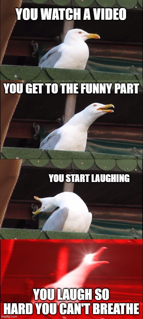 Video bird rage | YOU WATCH A VIDEO; YOU GET TO THE FUNNY PART; YOU START LAUGHING; YOU LAUGH SO HARD YOU CAN'T BREATHE | image tagged in memes,inhaling seagull | made w/ Imgflip meme maker