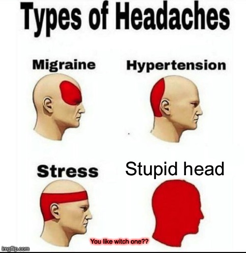 Types of Headaches meme | Stupid head; You like witch one?? | image tagged in types of headaches meme | made w/ Imgflip meme maker