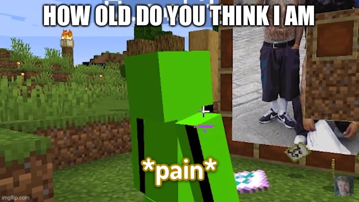 EEEE (not one, not two, not three, but FOUR E’s!) | HOW OLD DO YOU THINK I AM | image tagged in p a i n | made w/ Imgflip meme maker