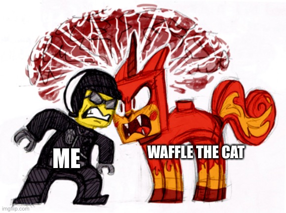 *Sigh* that’s why waffle the cat hates me | ME; WAFFLE THE CAT | made w/ Imgflip meme maker