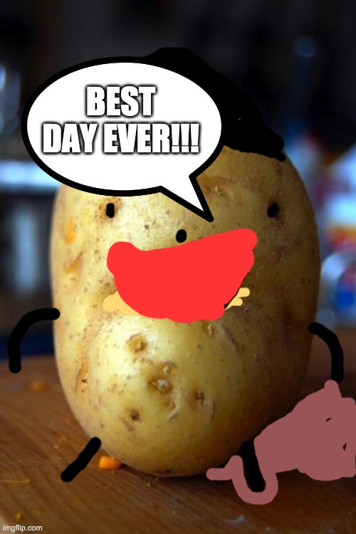 sad potato | BEST DAY EVER!!! | image tagged in sad potato | made w/ Imgflip meme maker