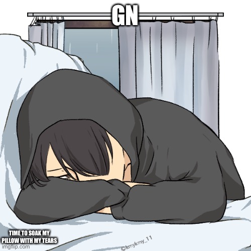 GN; TIME TO SOAK MY PILLOW WITH MY TEARS | made w/ Imgflip meme maker