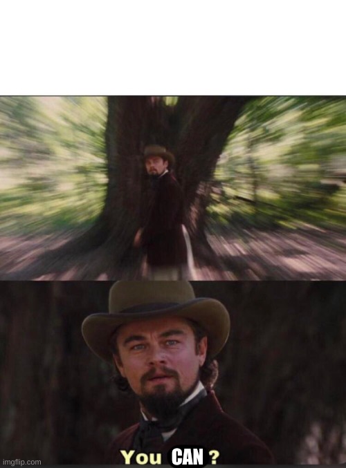 You will? Leonardo, django | CAN | image tagged in you will leonardo django | made w/ Imgflip meme maker