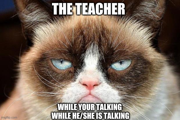 Grumpy Cat Not Amused Meme | THE TEACHER; WHILE YOUR TALKING 
WHILE HE/SHE IS TALKING | image tagged in memes,grumpy cat not amused,grumpy cat | made w/ Imgflip meme maker