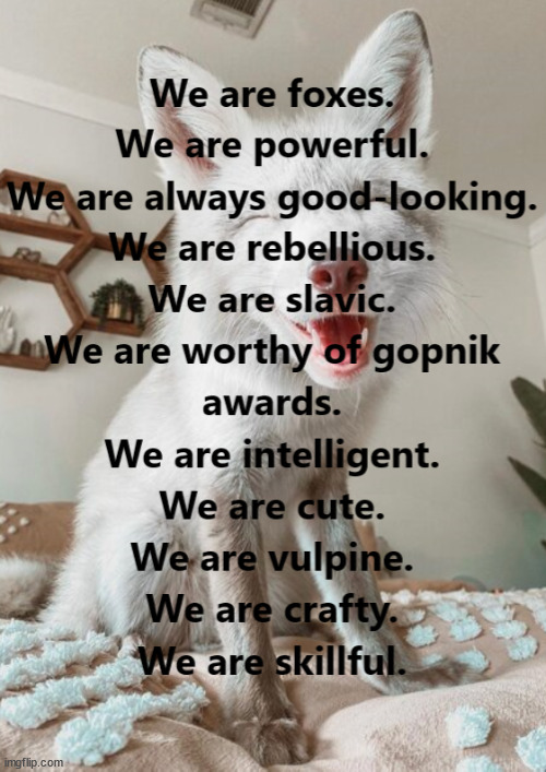 We are foxes. | image tagged in we are foxes,we are powerful | made w/ Imgflip meme maker
