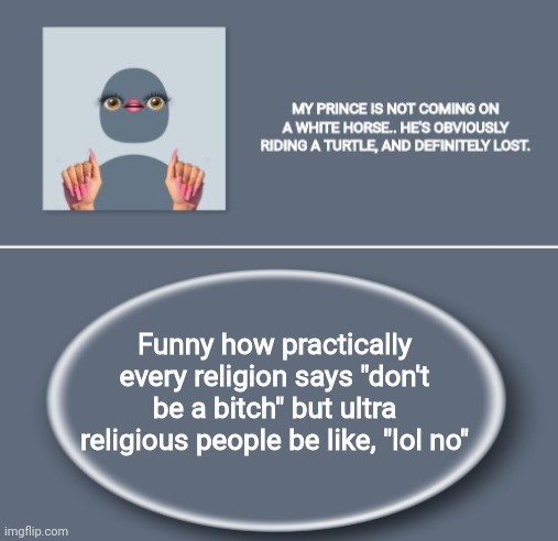 Emily | Funny how practically every religion says "don't be a bitch" but ultra religious people be like, "lol no" | image tagged in emily | made w/ Imgflip meme maker