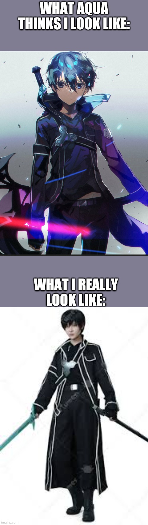 This ia the most cursed kirito image i found | WHAT AQUA THINKS I LOOK LIKE:; WHAT I REALLY LOOK LIKE: | made w/ Imgflip meme maker