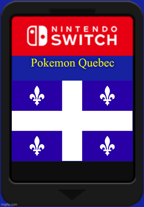 e | Pokemon Quebec | image tagged in nintendo switch cartridge | made w/ Imgflip meme maker
