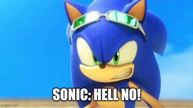 Really Angry Sonic | SONIC: HELL NO! | image tagged in really angry sonic | made w/ Imgflip meme maker