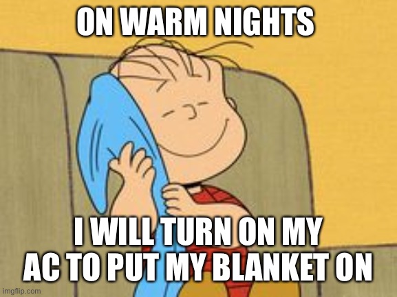 Linus and his Blanket | ON WARM NIGHTS; I WILL TURN ON MY AC TO PUT MY BLANKET ON | image tagged in linus and his blanket | made w/ Imgflip meme maker