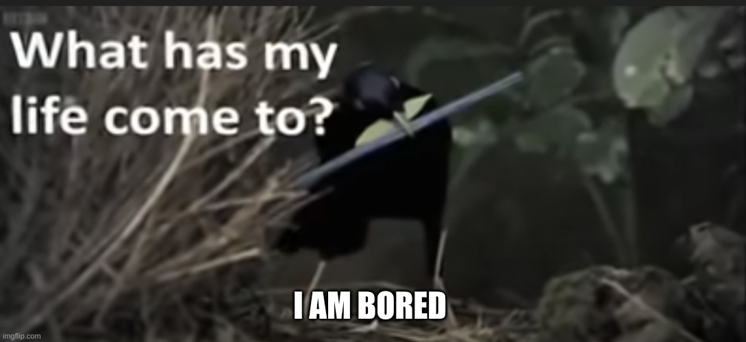 What has my life come to? | I AM BORED | image tagged in what has my life come to | made w/ Imgflip meme maker