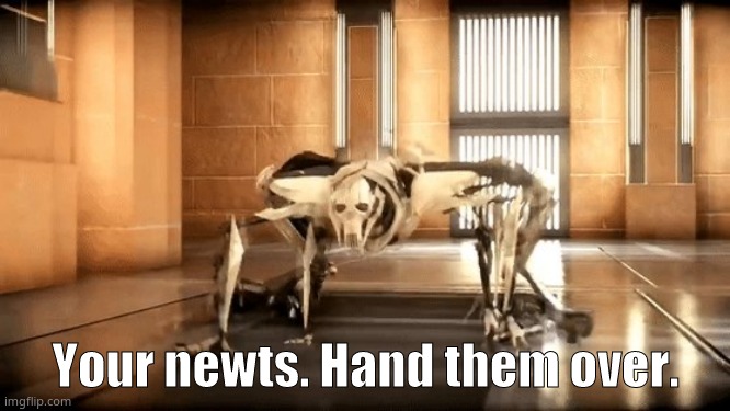 Send Newts please | Your newts. Hand them over. | image tagged in general grievous crawl | made w/ Imgflip meme maker