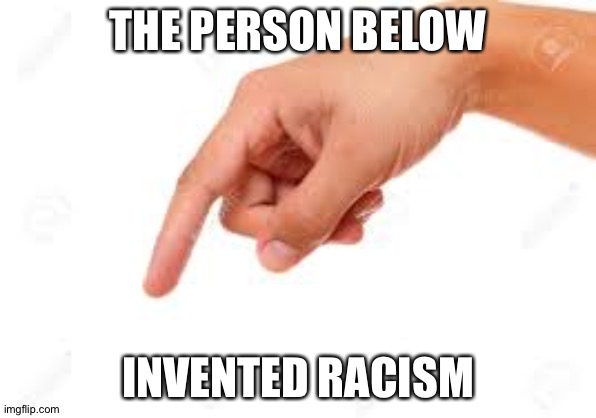 the person below | THE PERSON BELOW; INVENTED RACISM | image tagged in the person below | made w/ Imgflip meme maker