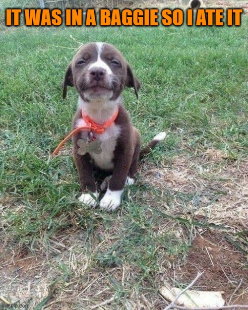 IT WAS IN A BAGGIE SO I ATE IT | made w/ Imgflip meme maker