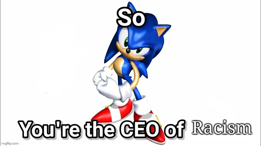 so you're the CEO of | Racism | image tagged in so you're the ceo of | made w/ Imgflip meme maker