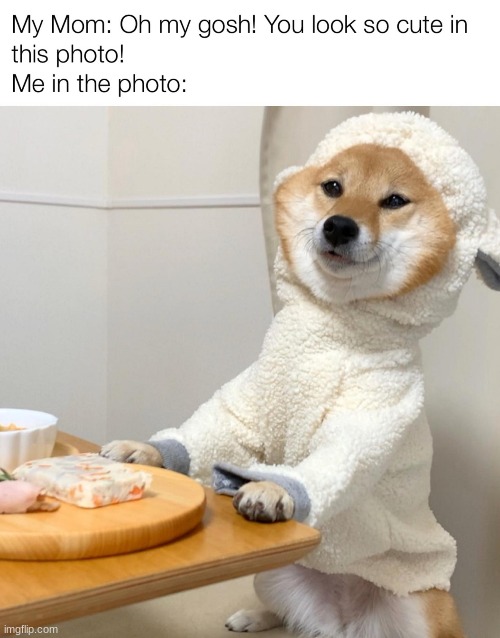 i'm kinda fat- | made w/ Imgflip meme maker