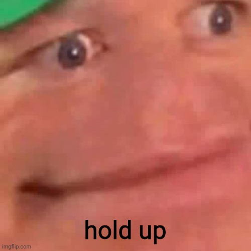 Wait Hol Up | hold up | image tagged in wait hol up | made w/ Imgflip meme maker