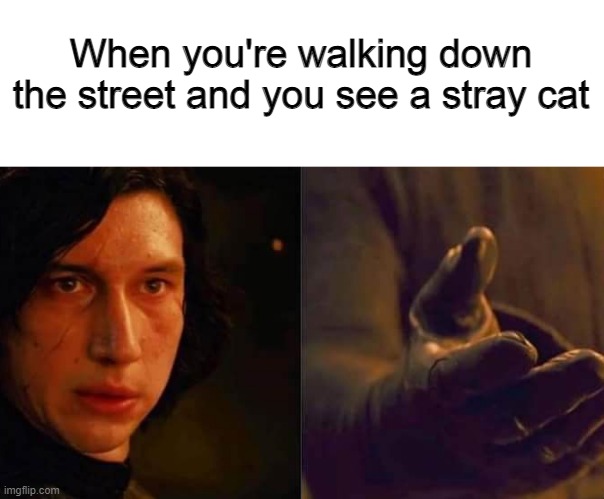 When you're walking down the street and you see a stray cat | made w/ Imgflip meme maker