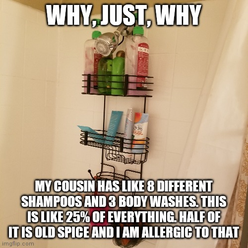 Female cousins in a nutshell (yes i am allergic to old spice) | WHY, JUST, WHY; MY COUSIN HAS LIKE 8 DIFFERENT SHAMPOOS AND 3 BODY WASHES. THIS IS LIKE 25% OF EVERYTHING. HALF OF IT IS OLD SPICE AND I AM ALLERGIC TO THAT | made w/ Imgflip meme maker