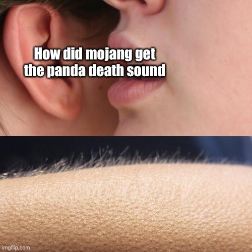 Whisper and Goosebumps | How did mojang get the panda death sound | image tagged in whisper and goosebumps | made w/ Imgflip meme maker