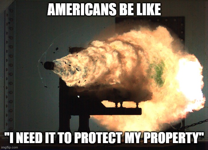 Right to bear arms. | AMERICANS BE LIKE; "I NEED IT TO PROTECT MY PROPERTY" | image tagged in memes | made w/ Imgflip meme maker