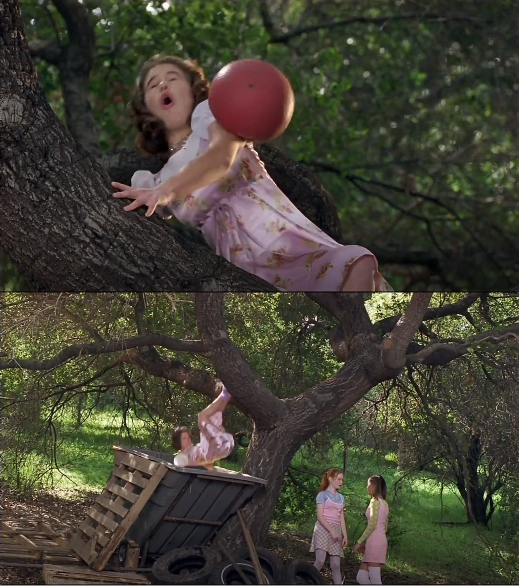 High Quality Cokie Knocked Out of the Tree by a Ball and Into the Dumpster Blank Meme Template