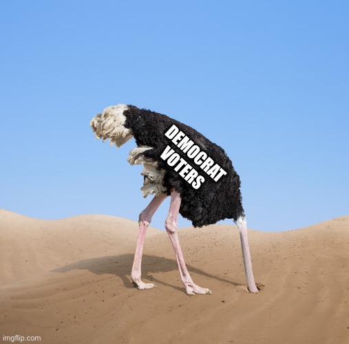 Ostrich | DEMOCRAT VOTERS | image tagged in ostrich | made w/ Imgflip meme maker