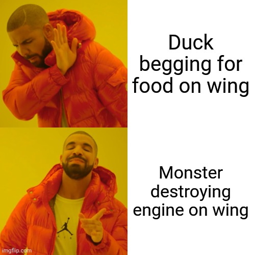 Drake Hotline Bling Meme | Duck begging for food on wing Monster destroying engine on wing | image tagged in memes,drake hotline bling | made w/ Imgflip meme maker