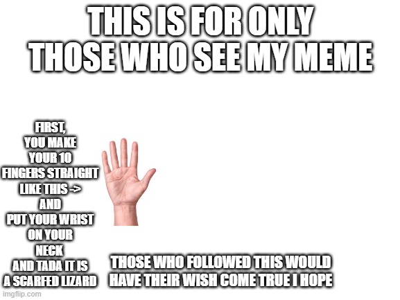 Blank White Template | FIRST, YOU MAKE YOUR 10 FINGERS STRAIGHT LIKE THIS ->
AND PUT YOUR WRIST ON YOUR NECK 
AND TADA IT IS A SCARFED LIZARD; THIS IS FOR ONLY THOSE WHO SEE MY MEME; THOSE WHO FOLLOWED THIS WOULD HAVE THEIR WISH COME TRUE I HOPE | image tagged in blank white template | made w/ Imgflip meme maker