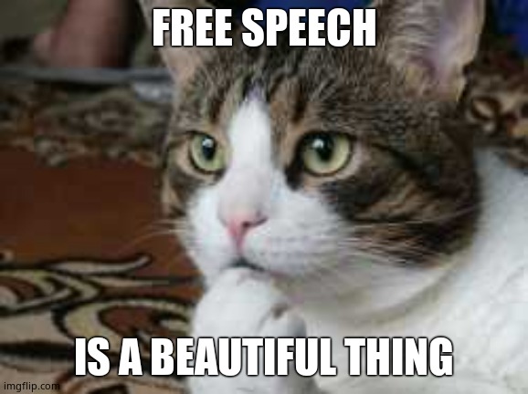 Ponder cat | FREE SPEECH IS A BEAUTIFUL THING | image tagged in ponder cat | made w/ Imgflip meme maker