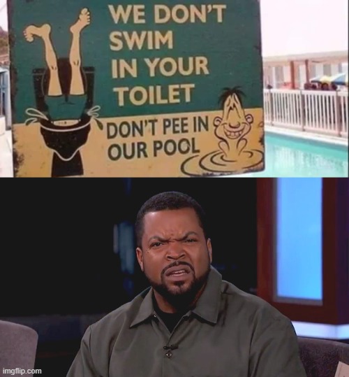 Pool Rules | image tagged in really ice cube | made w/ Imgflip meme maker