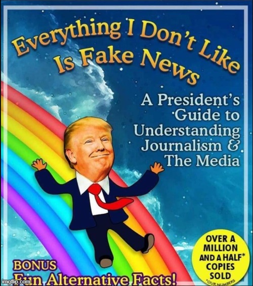 Everything is Fake News | image tagged in everything is fake news | made w/ Imgflip meme maker