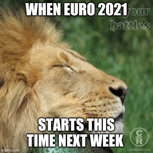 Happy lion | WHEN EURO 2021; STARTS THIS TIME NEXT WEEK | image tagged in happy lion,memes,euro 2020,euro 2021 | made w/ Imgflip meme maker