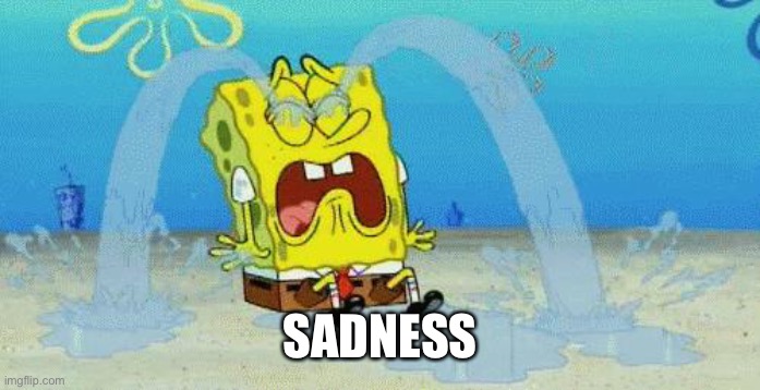 sad crying spongebob | SADNESS | image tagged in sad crying spongebob | made w/ Imgflip meme maker