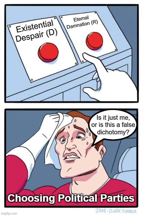 Two Buttons Meme | Eternal
Damnation (R); Existential Despair (D); Is it just me,
or is this a false
dichotomy? Choosing Political Parties | image tagged in memes,two buttons | made w/ Imgflip meme maker