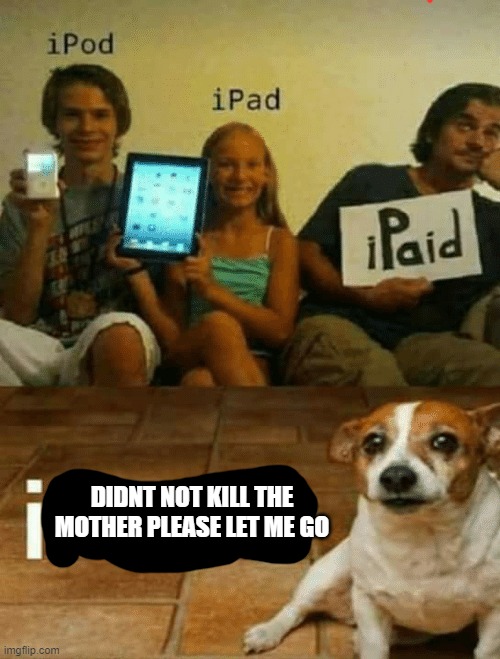 Let the doggo go | DIDNT NOT KILL THE MOTHER PLEASE LET ME GO | image tagged in ipod ipad ipaid ipeed blank | made w/ Imgflip meme maker