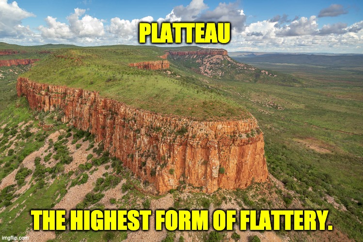 Platteau | PLATTEAU; THE HIGHEST FORM OF FLATTERY. | image tagged in bad pun | made w/ Imgflip meme maker