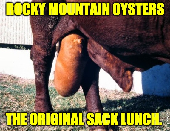 Sack | ROCKY MOUNTAIN OYSTERS; THE ORIGINAL SACK LUNCH. | image tagged in bad pun | made w/ Imgflip meme maker