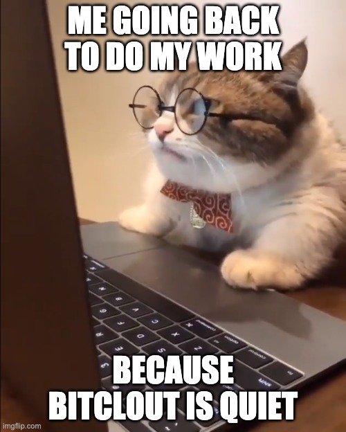 me going back to work because bitclout is quiet | ME GOING BACK TO DO MY WORK; BECAUSE BITCLOUT IS QUIET | image tagged in research cat,work,social media,bitclout,laptop | made w/ Imgflip meme maker